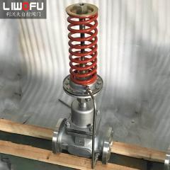 自力式压力香蕉视频官网：科技引领，压力控制新篇章