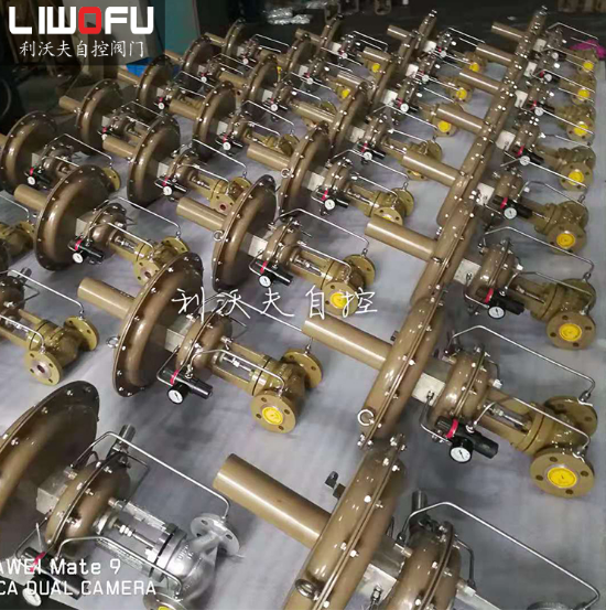 ZZYVP自力式压力香蕉视频官网